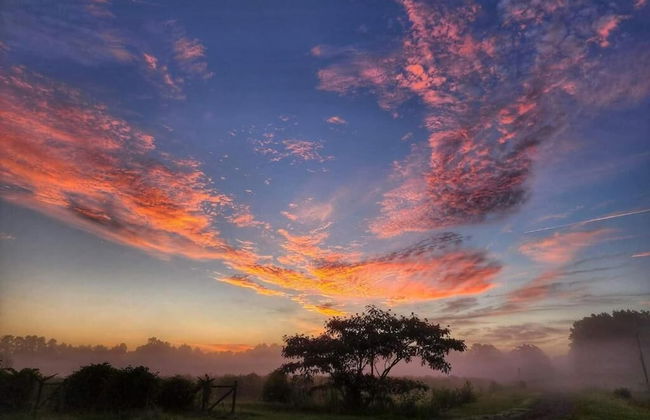 Phoenix Farms Vineyard - Foto 22