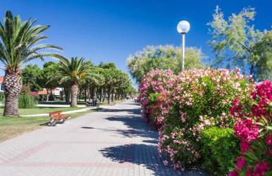 Belle villa avec piscine vue montagne à 10 mn de la mer à Argeles - Foto 53
