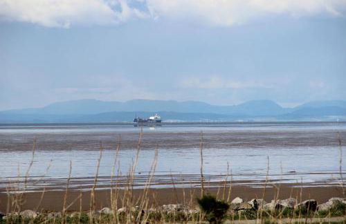 Dolphin House - Foto 46