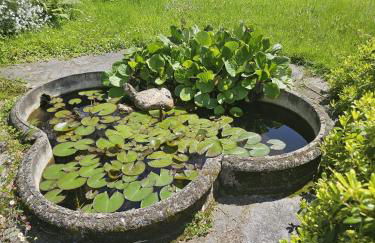 Villa Maria Lago Maggiore 2 - Photo 25