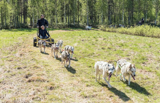 Ranua Resort Holiday Village - Foto 26