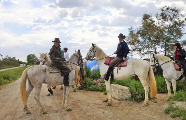 Single Storey Holiday Home With Swimming Pool - Foto 18