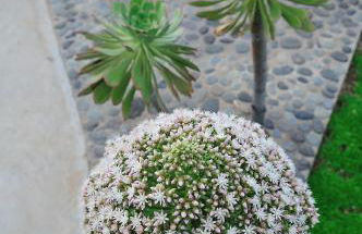 El Susurro Ecoliving_VILLA PARDELA - Foto 8