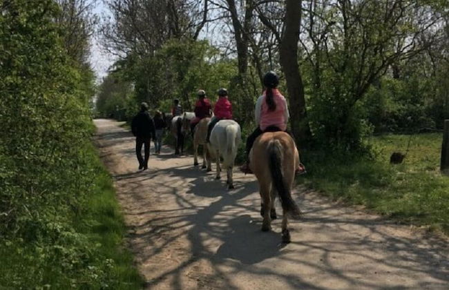 Meislahnhof Fehmarn - Foto 26