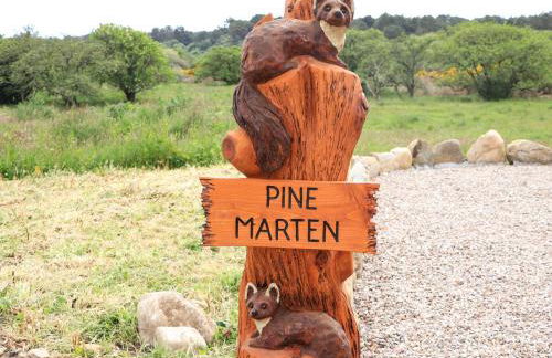 Pine Marten - Foto 40