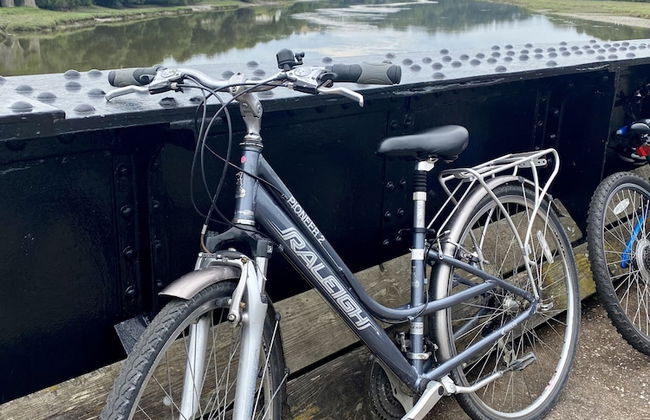 Holly Hayes House - Photo 55