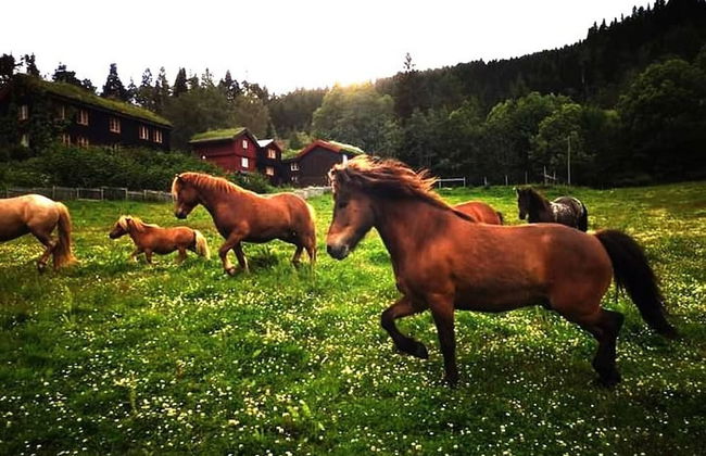 Cozy Cabin Retreat in Scenic Valley, E6 South of Trondheim - Foto 30