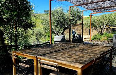 Quinta dos Piscos - Photo 80