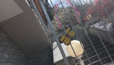 The Green Owl - Foto 3