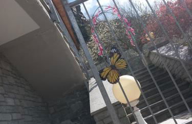 The Green Owl - Foto 3