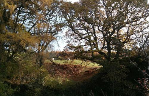 The Hidden Mill, Historic Beauty Spot and spa - Photo 3