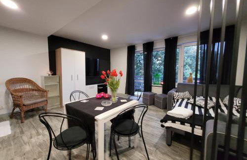 Apartamenty Parkowe nr 7 - Foto 6