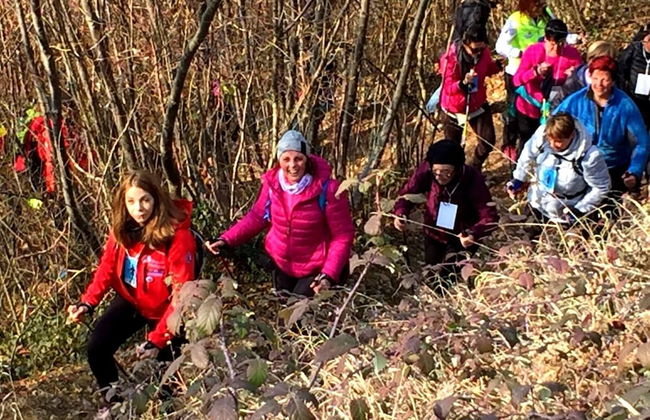 Comfortable House - Garden and Parking - Photo 35