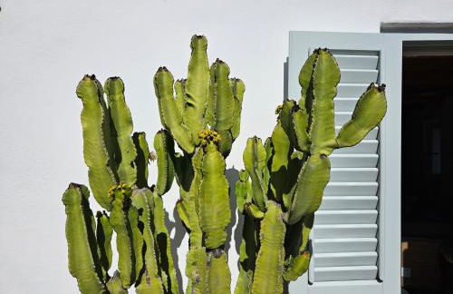 Villa Margot - Authentic sea view countryside villa - Foto 24