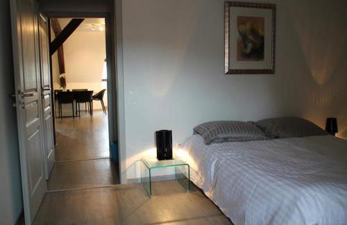 A L'ill - Apparts & Studios Strasbourg Hyper Centre - Foto 47