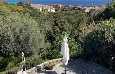 BuenaVista - Photo 40