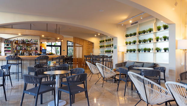 Bahia Pollensa Aparthotel - Foto 5