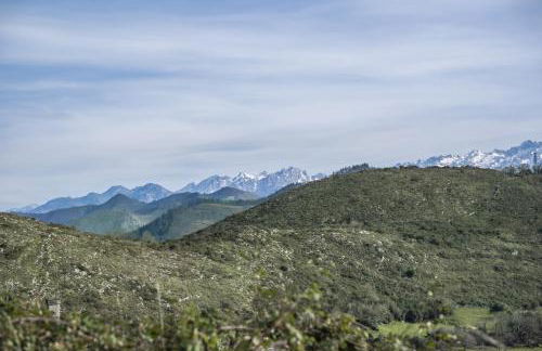 Escuelas de collía D - Foto 28