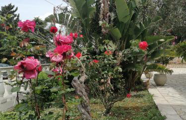 Makis Apartments - Foto 43