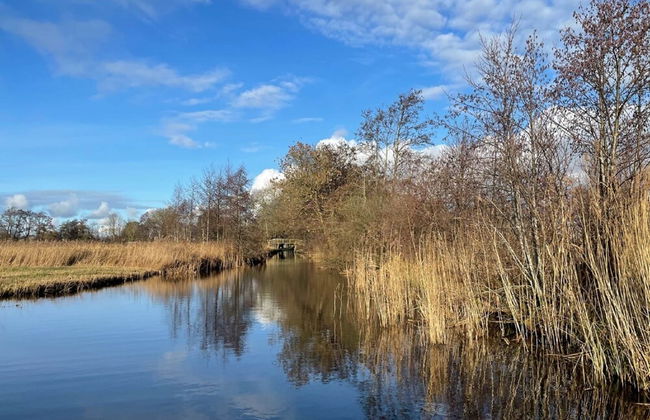 Cozy Holiday Home With Terrace - Photo 31