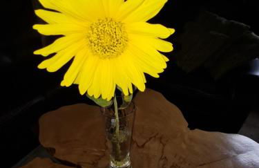 Jagdhaus auf dem Forsthof mit Sauna - Foto 25