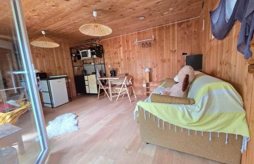 Studio bois avec terrasse et jardin bassin et océan - Foto 16