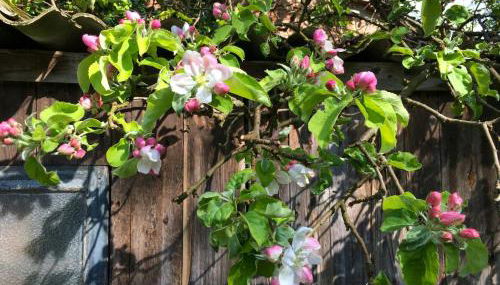 Charming Villa With A View Of Schermützelsee - Foto 4