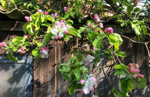 Charming Villa With A View Of Schermützelsee - Foto 4