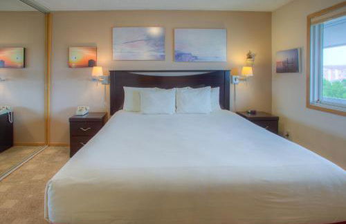 The Grey Gull - Foto 74