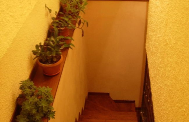 Angelucci Agriturismo con Camere e Agri Camping - Photo 39