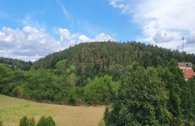 Apartment in Armsfeld With Pool - Foto 31