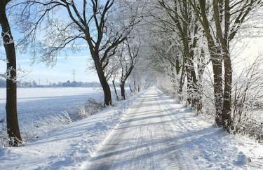 Ferienhaus blauer See mit optionalem Hot-Tub - Foto 42