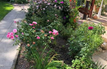 Gartenblick - Foto 14