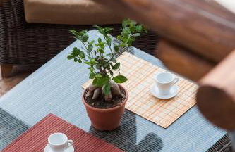 Polys Guest House - Foto 33