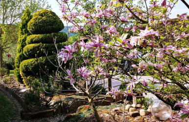 Gîte au centre de l'alsace - Foto 12