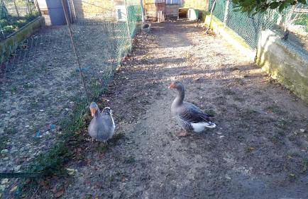 Agriturismo La Rosa Montefalco - Foto 32