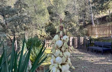 Alcarria , Casa del Agua - Foto 8
