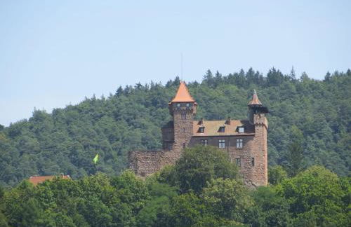 Haus am Kirchberg in Vita Garden - Foto 11