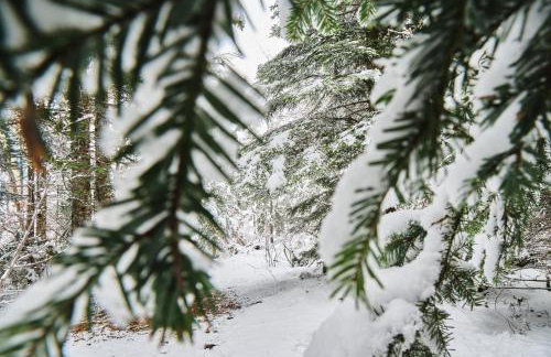 Studio Herbouilly - Vercors - Foto 11