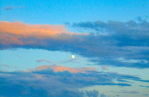 Pigeon Hill Retreat - Photo 2