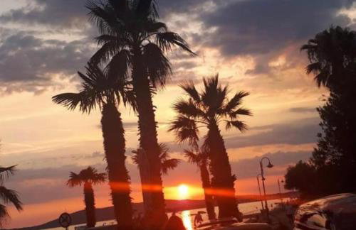 Apartman Alka - Foto 1