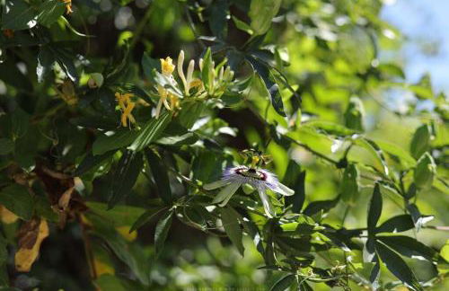 The Dream Holiday House - Foto 33