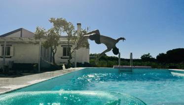 Quinta das palmeiras - Aldeia do Pico - Foto 4