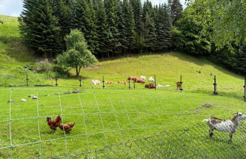 Naturhof Kluge - Foto 59