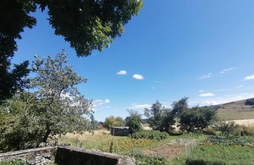 L'auvergnate - Foto 4