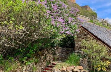 Lou Cambrou - Photo 7