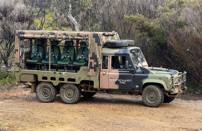 Blue Mountains Tour from Katoomba - Photo 2