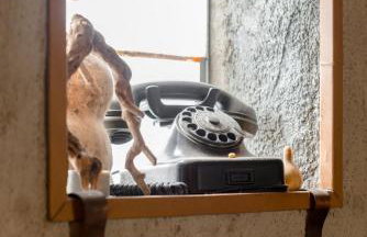 Countryside House Dugobabe - Foto 36