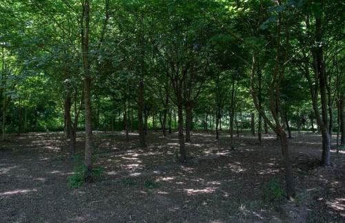 Casolare La Quercia - Foto 19