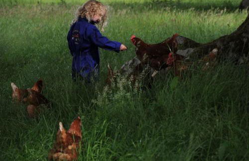 Old Leckie Farmstay - Foto 43